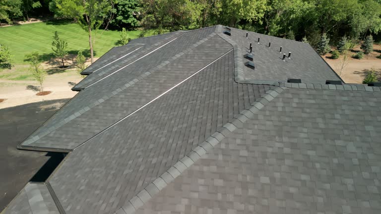 Best Green or Eco-Friendly Roofing Solutions  in Orida Ridge, FL