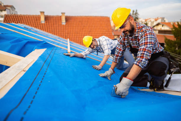 Best Emergency Roof Repair Services  in Orida Ridge, FL