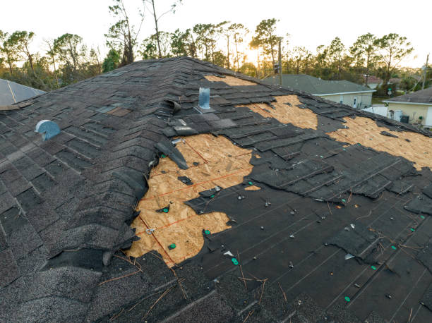Best Roof Coating Services  in Orida Ridge, FL