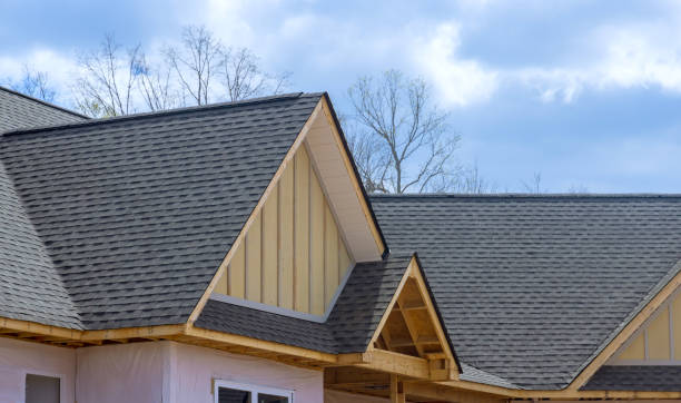 Best Asphalt Shingle Roofing  in Orida Ridge, FL