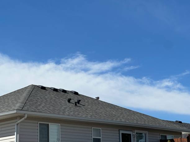 Best Storm Damage Roof Repair  in Orida Ridge, FL