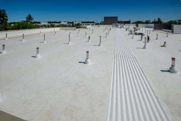 Best Flat Roofing  in Orida Ridge, FL